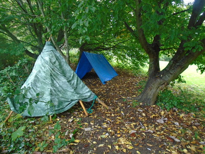Forest School